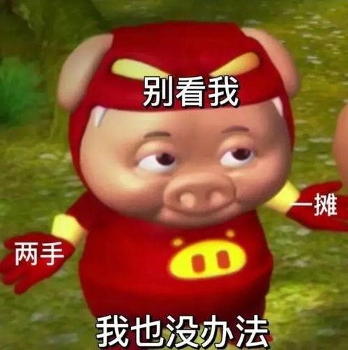 娱乐吃瓜酱猪猪侠,吃瓜酱带你领略猪猪侠的欢乐世界